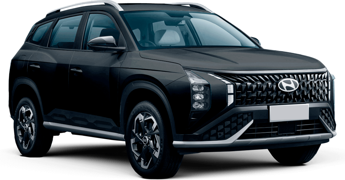 Mufasa Черный цвет 2025-ого года купить в Новосибирске - autospot-54.ru
