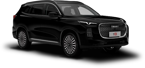 T8 I Глубокий черный цвет 2025-ого года купить в Новосибирске - autospot-54.ru