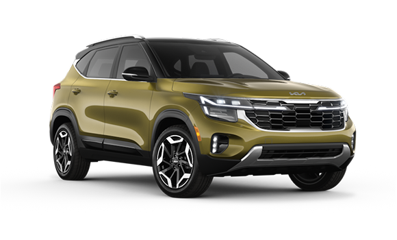 Seltos I Рест Valais Green/Fusion Black Roof цвет 2025-ого года купить в Новосибирске - autospot-54.ru