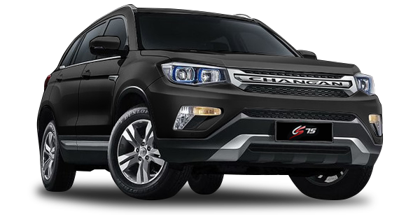 CS75 Черный цвет 2025-ого года купить в Новосибирске - autospot-54.ru