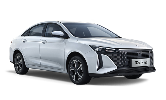 S6PRO Белый цвет 2025-ого года купить в Новосибирске - autospot-54.ru