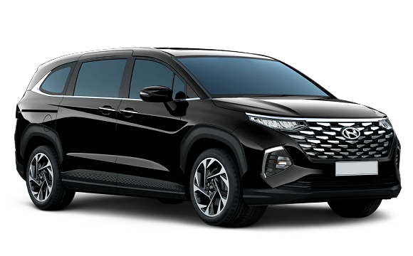 Custin Black цвет 2025-ого года купить в Новосибирске - autospot-54.ru
