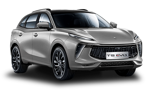 T5 EVO Серый цвет 2025-ого года купить в Новосибирске - autospot-54.ru