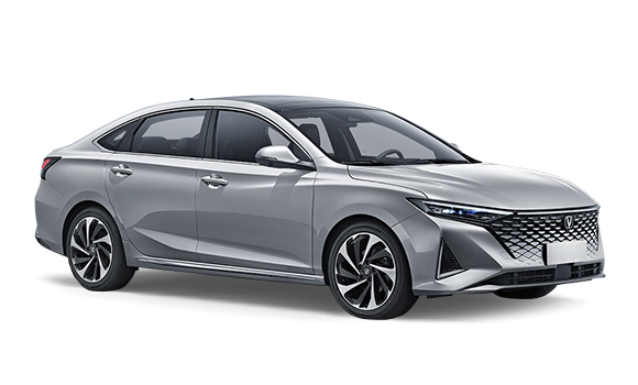 Raeton Plus Серебристый цвет 2025-ого года купить в Новосибирске - autospot-54.ru