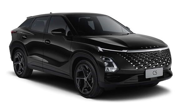 C5 Black цвет 2025-ого года купить в Новосибирске - autospot-54.ru