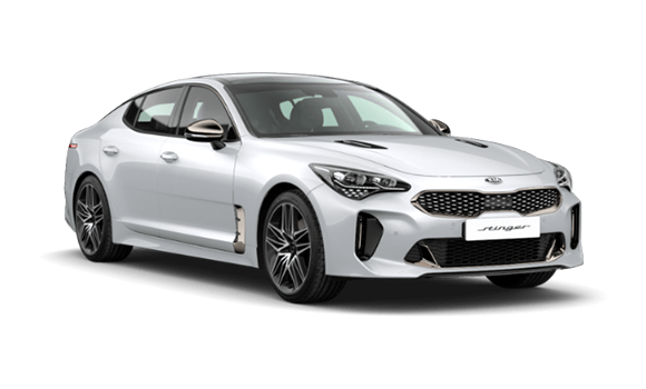 Stinger Snow White Pearl цвет 2025-ого года купить в Новосибирске - autospot-54.ru